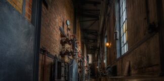 Czym różni się brykiet od węgla?